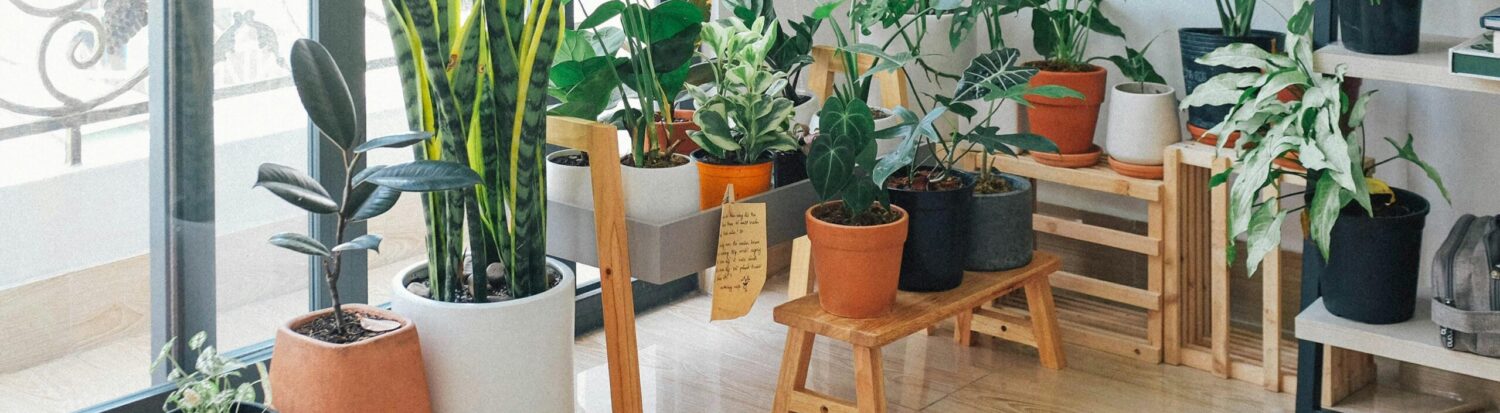 cultivandolar.com
